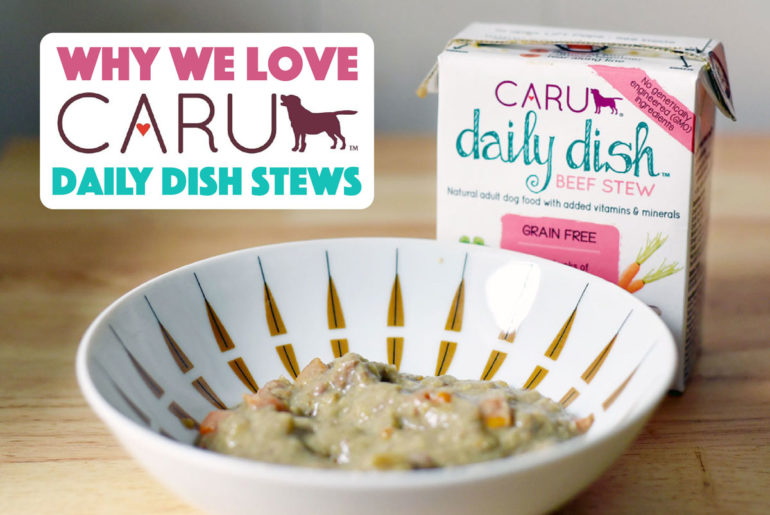 Searching for an affordable, high-quality prepared dog food? Look no farther than Caru Daily Dish Stew, one of the only 100% human grade dog foods on the market.