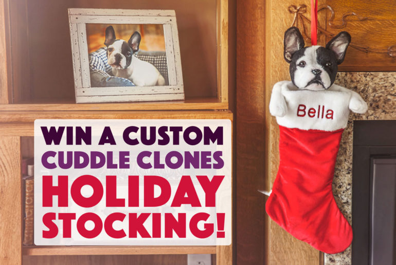 You may know the incredible custom stuffed animals from Cuddle Clones, but now you can win your own Cuddle Clones Holiday Stocking!