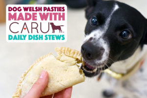 He's a fun Welsh pasty recipe — for dogs! Using human-grade Caru Daily Dish Stew, we're baking a canine version of this savory meat pie.