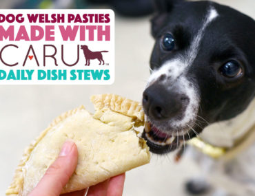 He's a fun Welsh pasty recipe — for dogs! Using human-grade Caru Daily Dish Stew, we're baking a canine version of this savory meat pie.