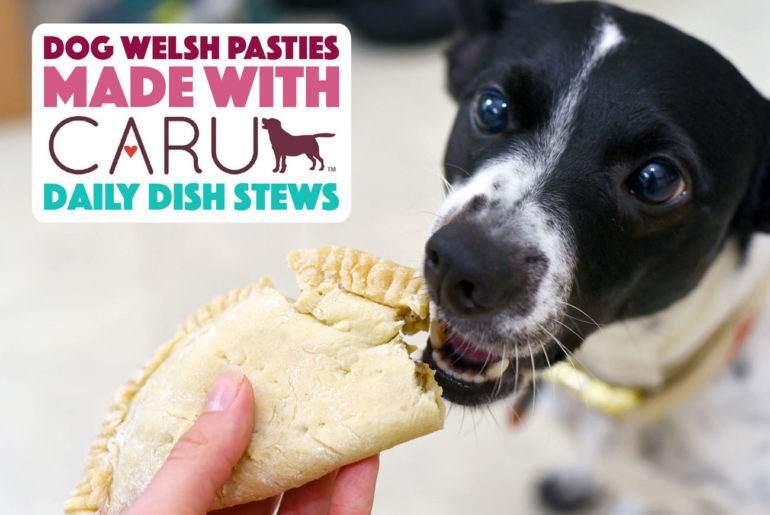 He's a fun Welsh pasty recipe — for dogs! Using human-grade Caru Daily Dish Stew, we're baking a canine version of this savory meat pie.