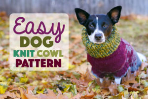 It's getting COLD outside! I don't know about your pup, but my Henry loves to wear this cozy cowl. It's super quick and easy to knit — it only took me an afternoon. Grab your needles, some yarn, and your dog and cozy up!