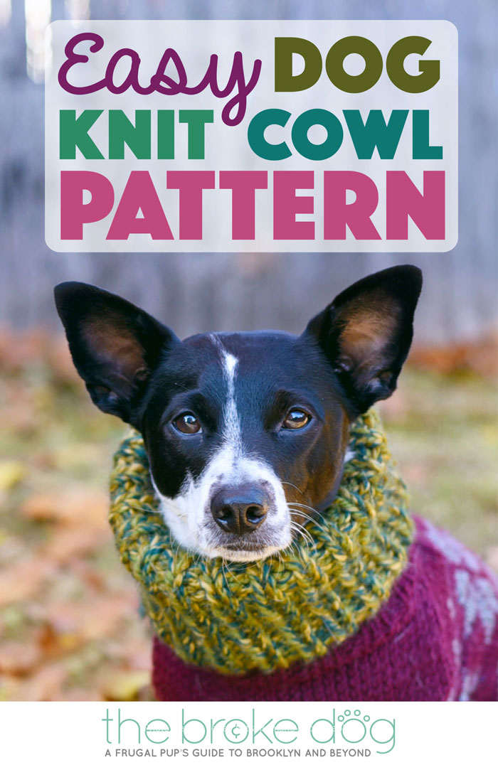 It's getting COLD outside! I don't know about your pup, but my Henry loves to wear this cozy cowl. It's super quick and easy to knit — it only took me an afternoon. Grab your needles, some yarn, and your dog and cozy up!