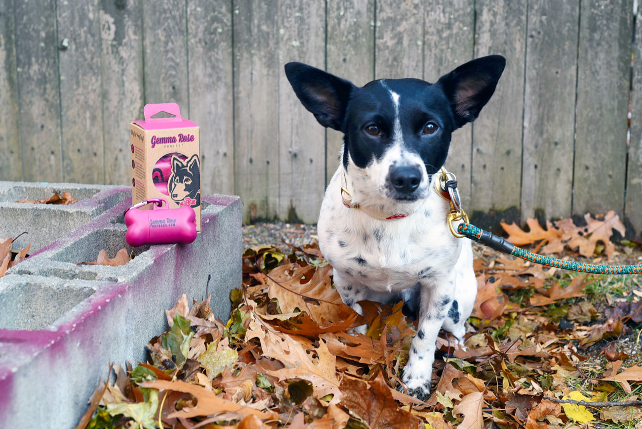 What if I told you that there's a poop bag rolls subscription that not only ensures that you'll never be bagless, but also helps animal rescues? I'm talking about Gemma Rose Project, of course!