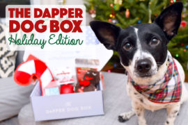 It's the holiday season, and we all have shopping to do. Make it easier for yourself by purchasing The Dapper Dog Box holiday edition for furry friends on your list!