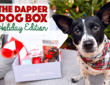 It's the holiday season, and we all have shopping to do. Make it easier for yourself by purchasing The Dapper Dog Box holiday edition for furry friends on your list!