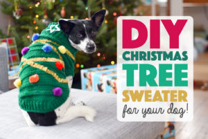 'Tis the season to dress your pup in his or her holiday best! This DIY Christmas tree sweater for your dog is easier than it looks and will certainly amp up the festive factor at any seasonal gathering.
