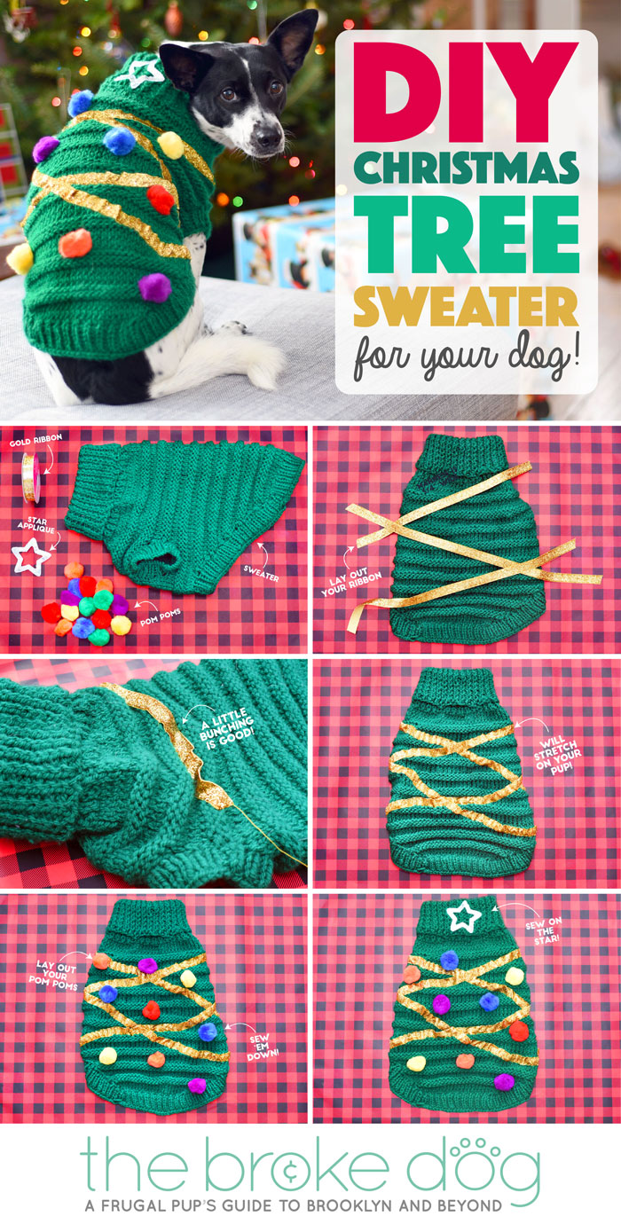 'Tis the season to dress your pup in his or her holiday best! This DIY Christmas tree sweater for your dog is easier than it looks and will certainly amp up the festive factor at any seasonal gathering.