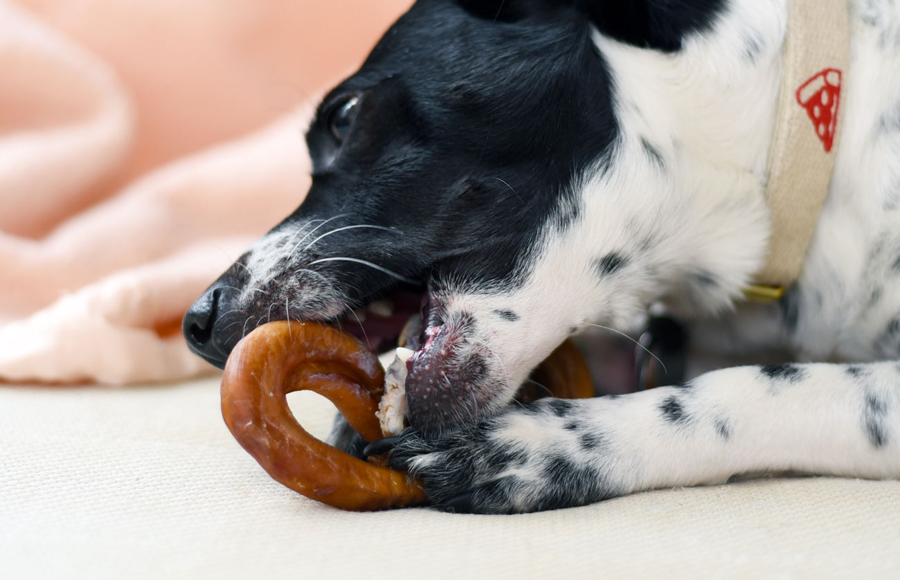 Learn about one of our favorite all-natural, fun ways to clean Henry's chompers: natural dog chews for good dental health!