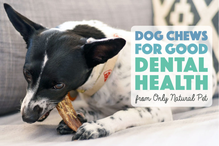 Learn about one of our favorite all-natural, fun ways to clean Henry's chompers: natural dog chews for good dental health!