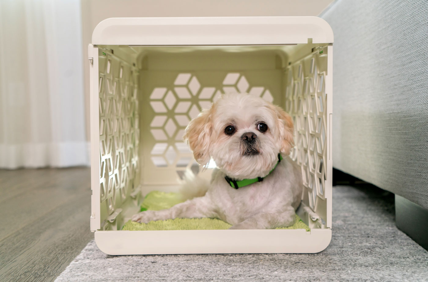 Amy Kim of Chasing Monkey had one goal when she launched PAWD: to create a premium, stylish dog crate that is also affordable. She succeeded! This crate is functional, gorgeous, and portable with a target price well under $100. Want to learn more? Check out our interview with Amy and enter to win one of your own!