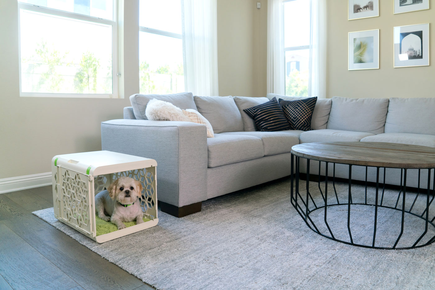 Amy Kim of Chasing Monkey had one goal when she launched PAWD: to create a premium, stylish dog crate that is also affordable.  She succeeded! This crate is functional, gorgeous, and portable with a target price well under $100. Want to learn more? Check out our interview with Amy and enter to win one of your own!