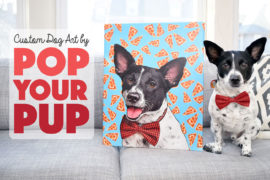 If you're anything like me, you love having your pup's photo everywhere! Pop Your Pup offers fabulous custom dog art printed on wrapped canvas or apparel. We had the chance to review Pop Your Pup's Medium Canvas and Ladies Sporty V-Neck — read and watch what we thought! (Spoiler Alert: they made Henry's tail wag!)