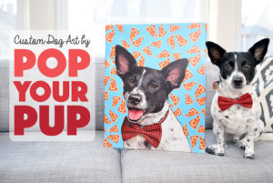 If you're anything like me, you love having your pup's photo everywhere! Pop Your Pup offers fabulous custom dog art printed on wrapped canvas or apparel. We had the chance to review Pop Your Pup's Medium Canvas and Ladies Sporty V-Neck — read and watch what we thought! (Spoiler Alert: they made Henry's tail wag!)