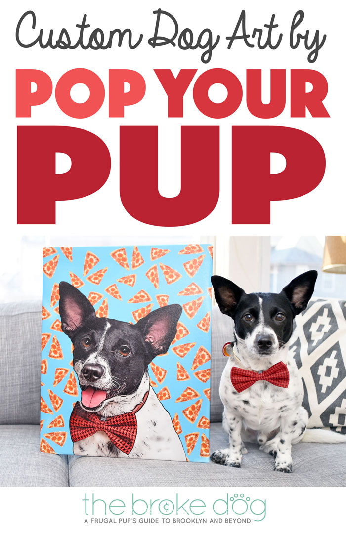 If you're anything like me, you love having your pup's photo everywhere! Pop Your Pup offers fabulous custom dog art printed on wrapped canvas or apparel. We had the chance to review Pop Your Pup's Medium Canvas and Ladies Sporty V-Neck — read and watch what we thought! (Spoiler Alert: they made Henry's tail wag!)