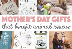 Whether you're buying a present for a human mom or dog mom, here are a few stores we would like to highlight that sell gifts that benefit animal rescue!