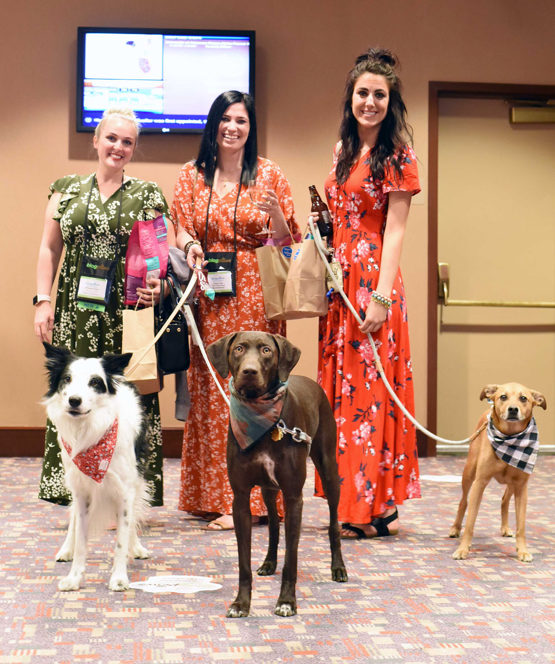 Have you ever been curious about what happens a pet blogging conference? Here is a list of what I'm calling "The Four S's" of attending the BlogPaws conference: Sponsors, Sessions, Swag, and Socialization.