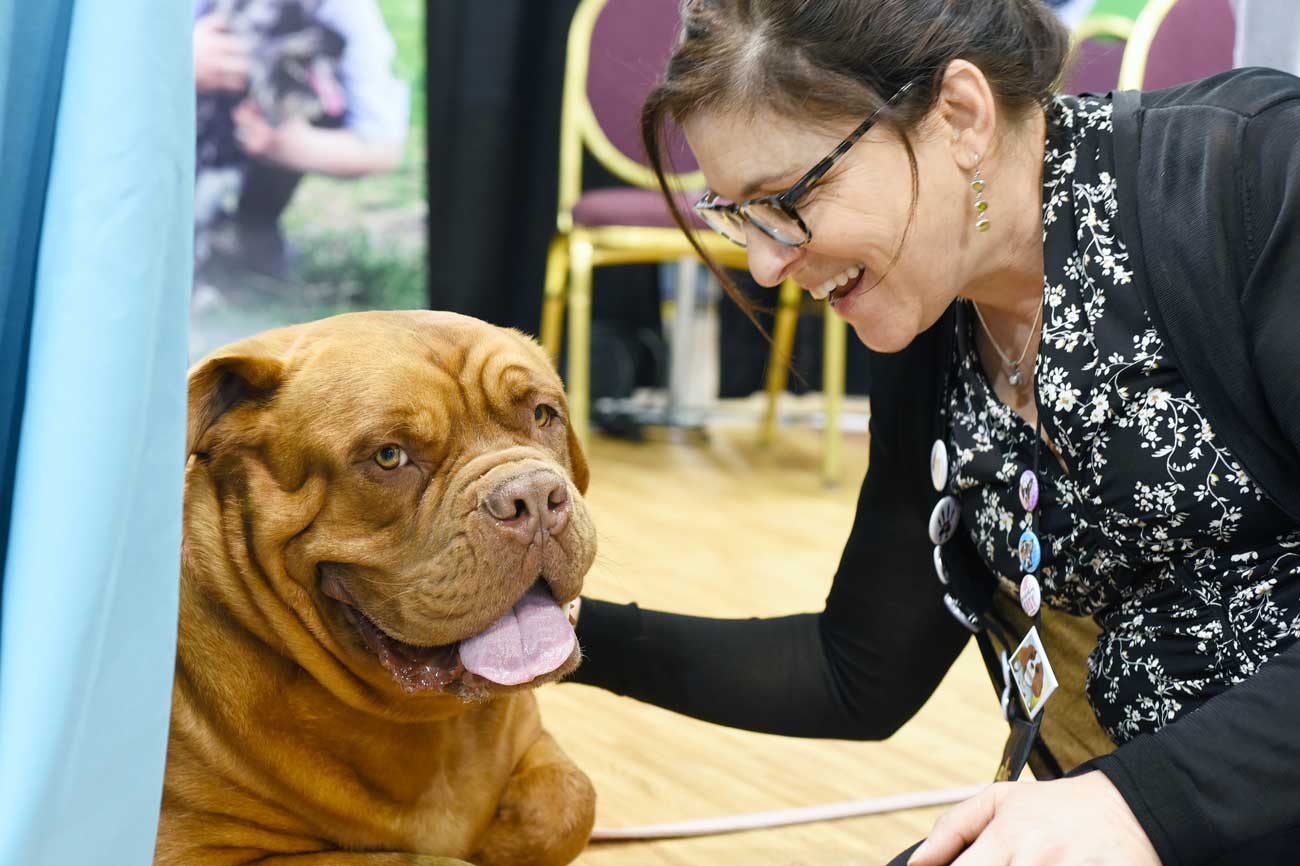Have you ever been curious about what happens a pet blogging conference? Here is a list of what I'm calling "The Four S's" of attending the BlogPaws conference: Sponsors, Sessions, Swag, and Socialization.