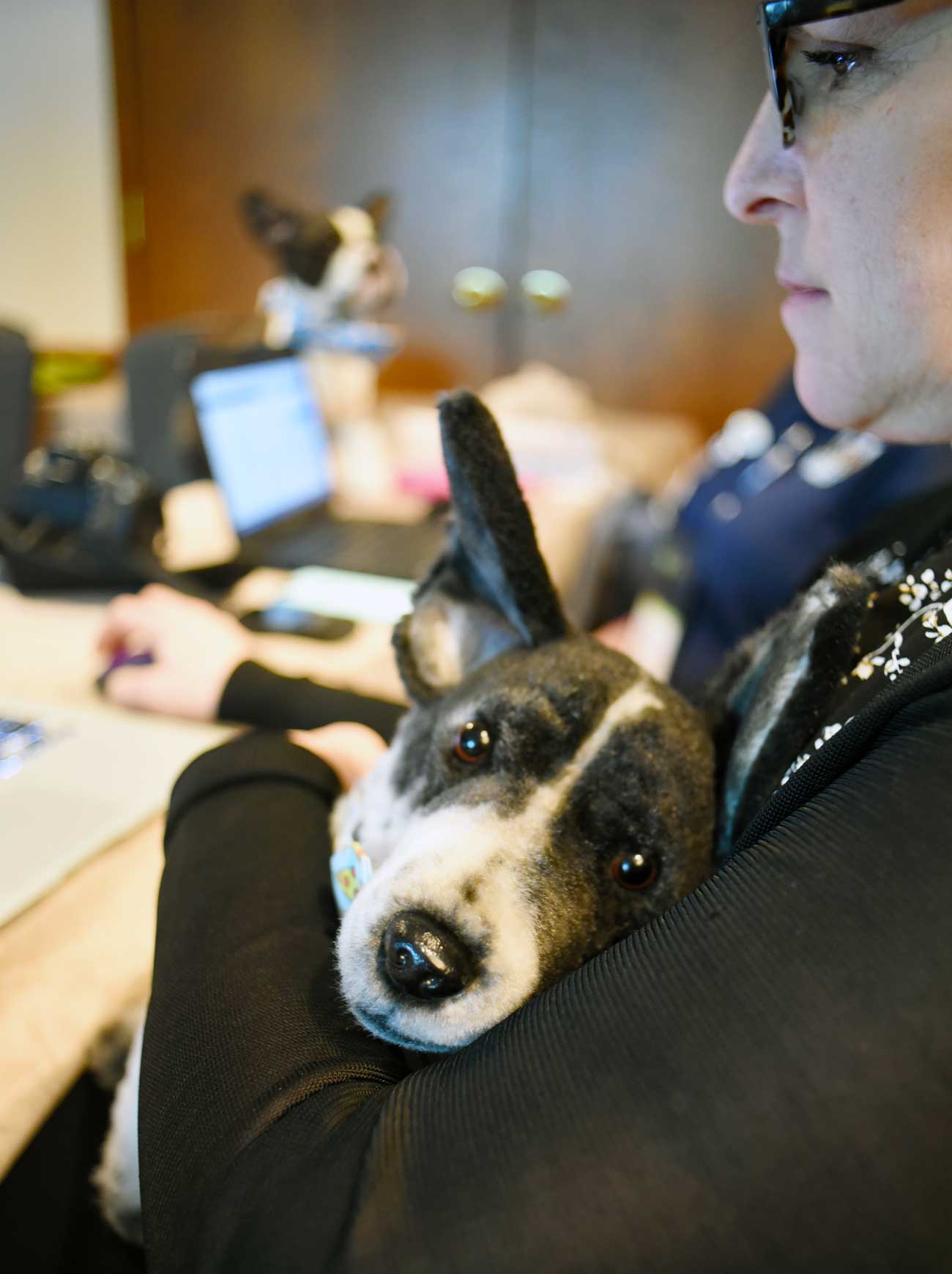 Have you ever been curious about what happens a pet blogging conference? Here is a list of what I'm calling "The Four S's" of attending the BlogPaws conference: Sponsors, Sessions, Swag, and Socialization.