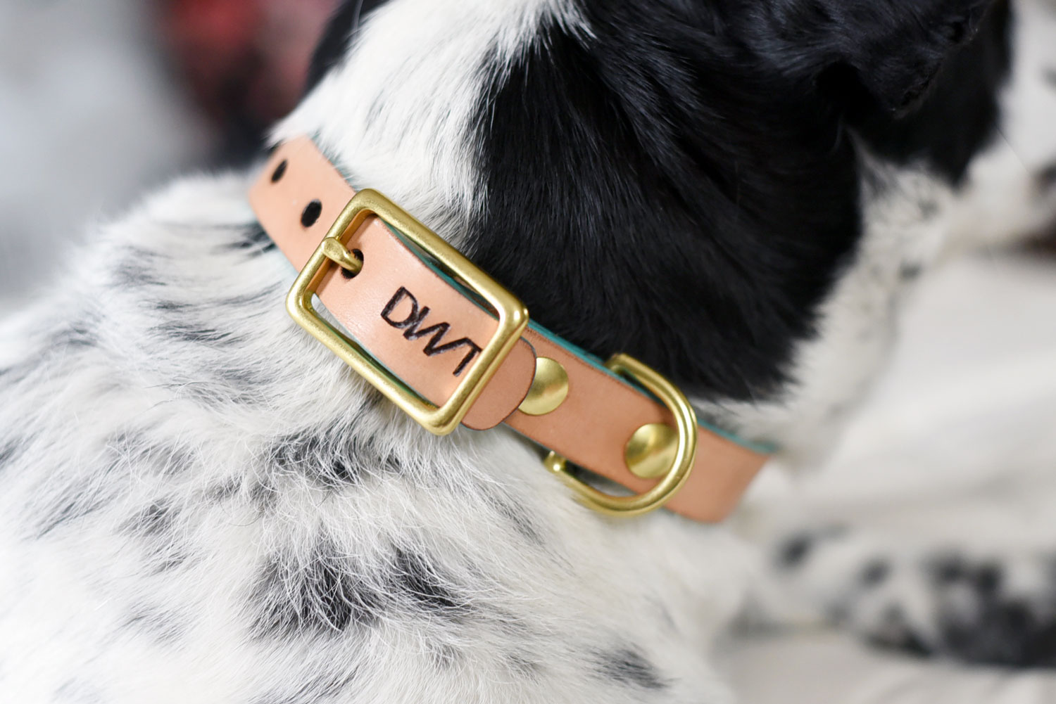 the handmade dog collar company