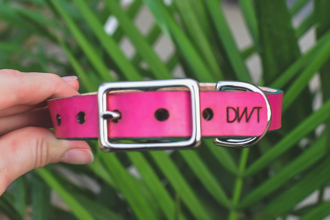 Dogwood Trl, a new handmade collar company, offers stunning custom leather dog collars that will perfectly fit your dog's personality.