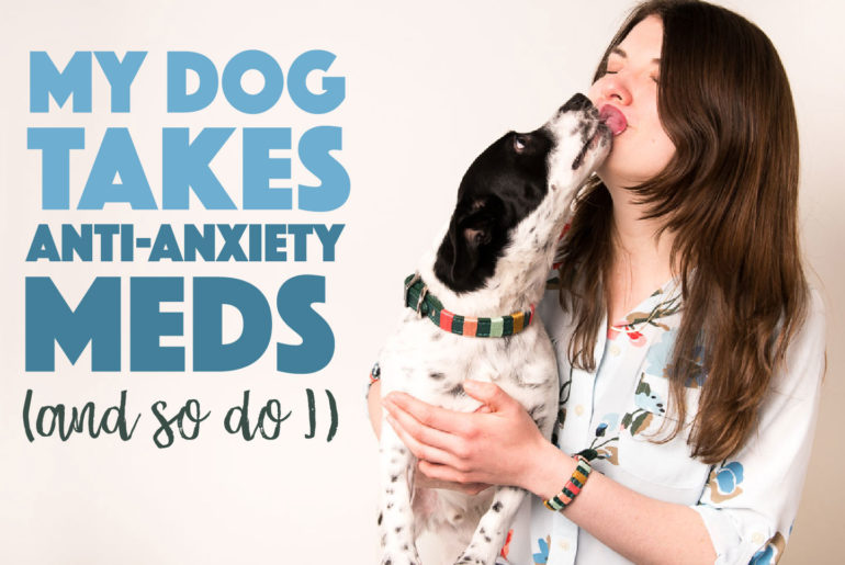 pet anxiety meds