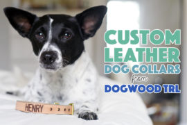 Dogwood Trl, a new handmade collar company, offers stunning custom leather dog collars that will perfectly fit your dog's personality.