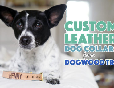 Dogwood Trl, a new handmade collar company, offers stunning custom leather dog collars that will perfectly fit your dog's personality.