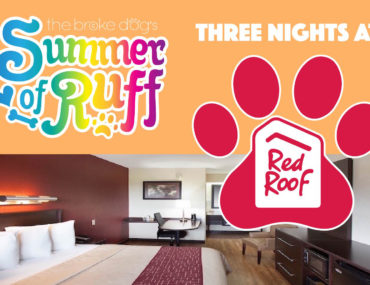 Think that finding a dog-friendly hotel is both difficult and expensive? Think again! Red Roof Inn offers affordable accommodation with no pet fee!  