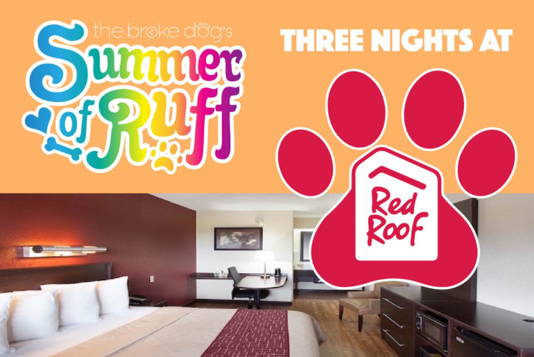 Think that finding a dog-friendly hotel is both difficult and expensive? Think again! Red Roof Inn offers affordable accommodation with no pet fee!  