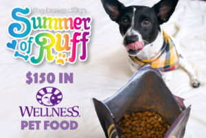 Fuel your pet's summer adventures with Wellness Pet Food! One lucky winner will receive $150 in vouchers for Wellness Pet Food — and not just for dogs!