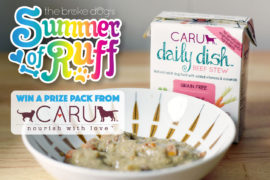 You can win a dog food and treat prize pack from Caru Pet Food, one of Henry's favorite brands!