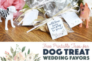 It's easier than you think to honor your pup on your wedding day! Ensure your party reaches the pups at home with these dog treat wedding favors with free printable tags.