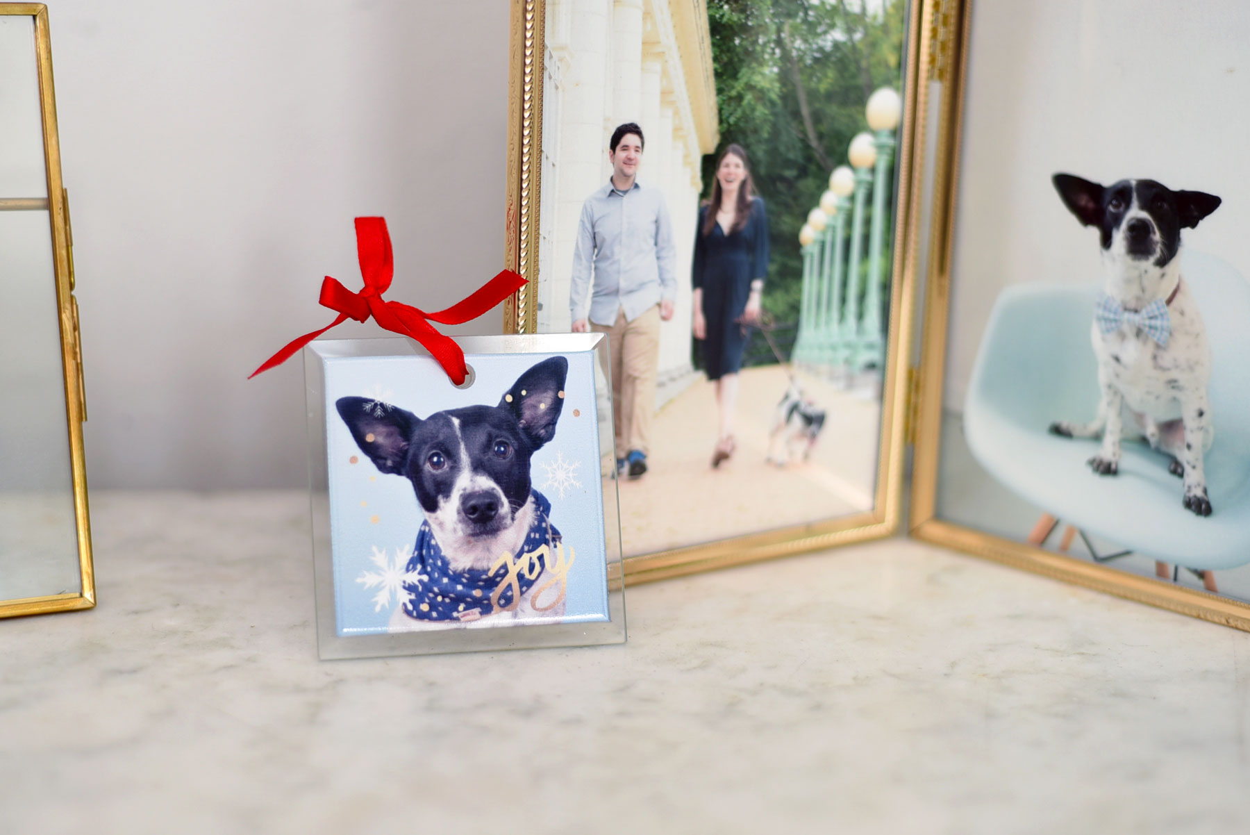 Sick of burying your favorite dog photos on your hard drive? Snapfish offers affordable and adorable photo gifts for pet lovers!