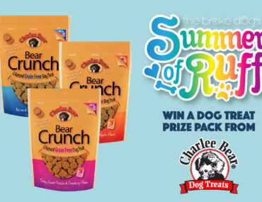 Does your dog love treats? I know, I know — that's a pretty dumb question! I'm almost positive that your pup will love this week's giveaway from Charlee Bear: you could win a dog treat prize pack!
