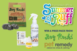 This week, we have a great prize pack from Podium Pet Products! Are you sick of urine spots on your lawn? Is your dog always stressed? This pack from Dog Rocks and Pet Remedy is for you!