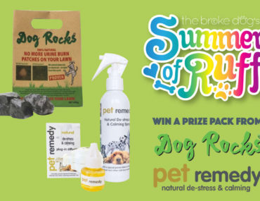 This week, we have a great prize pack from Podium Pet Products! Are you sick of urine spots on your lawn? Is your dog always stressed? This pack from Dog Rocks and Pet Remedy is for you!