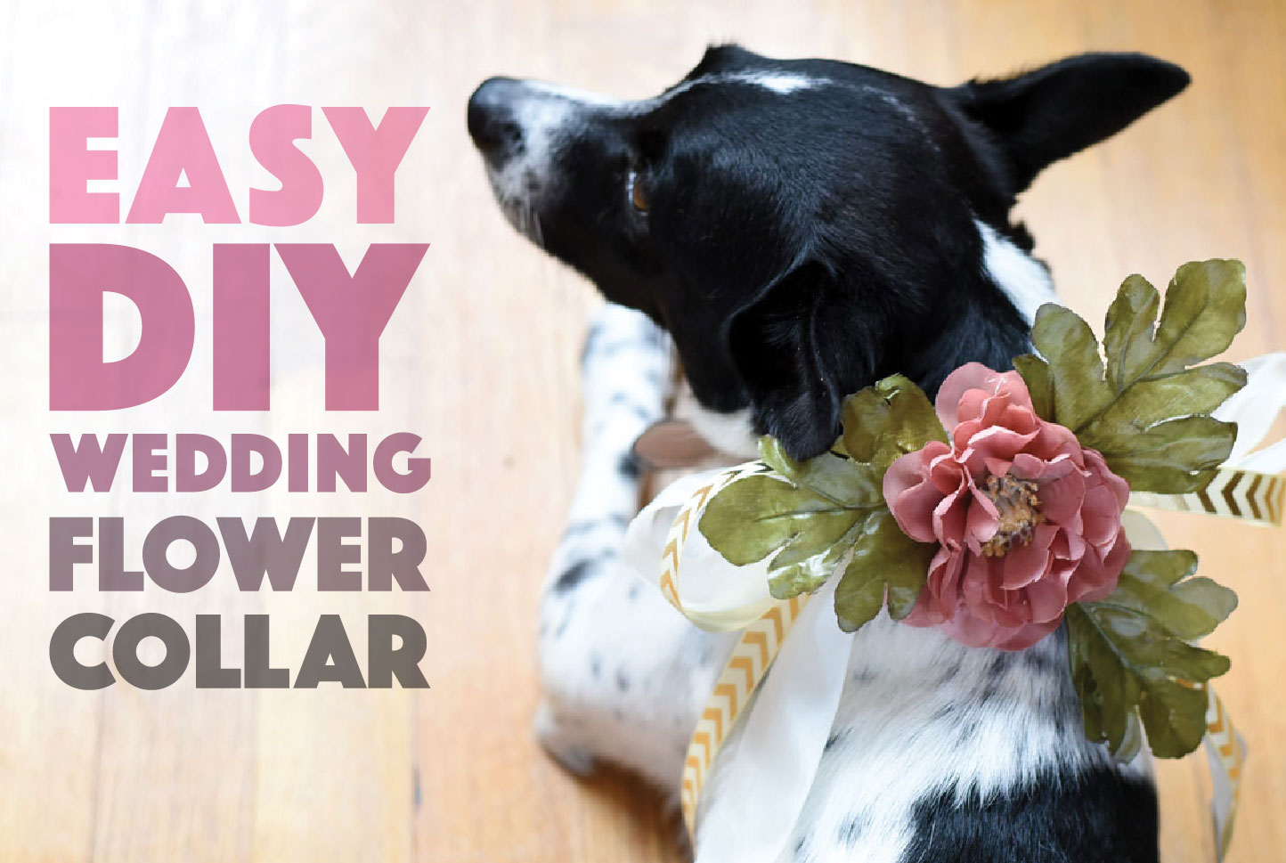 BUNDLE and SAVE pet collar flower 4Pack Flower ONLY for Dog collar flowers for dog collars wedding flower collar flower