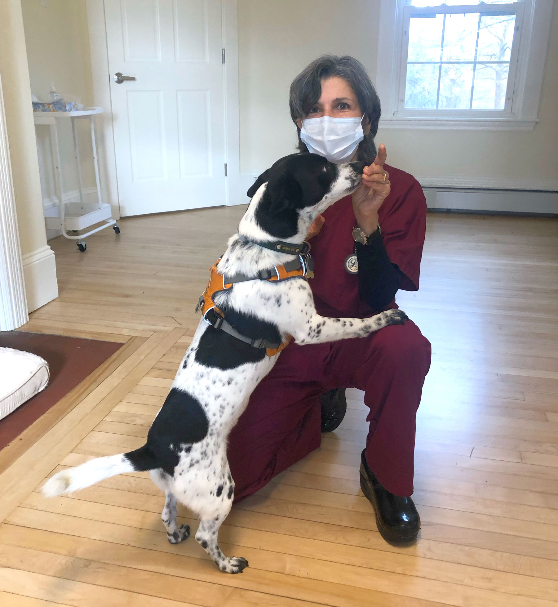 Tufts dog behaviorist 2025